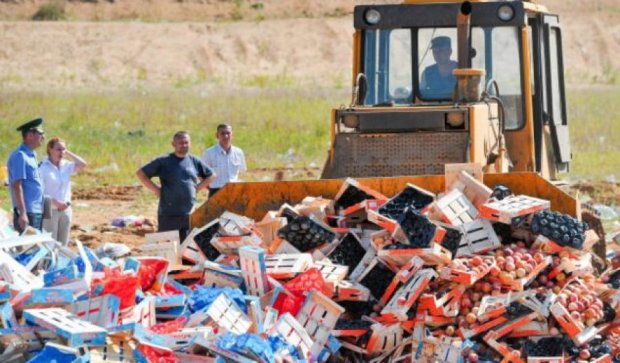 Россия уничтожила 550 тонн продуктов за 9 дней