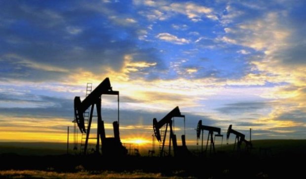 Стоимость нефти Brent установилась выше 49 долл. за баррель