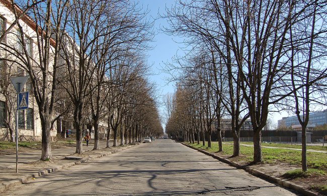Погода на вихідних: весна підготувала українцям незабутній вікенд