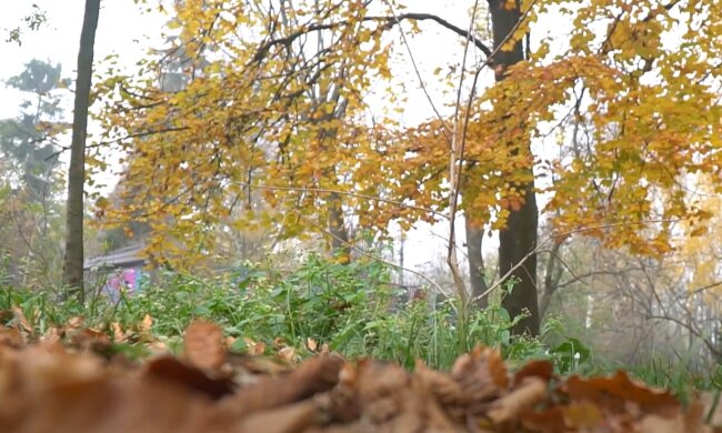 Прогноз погоди на жовтень, скріншот: YouTube