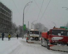 В Киеве "королева парковки" придавила дедушку: фото