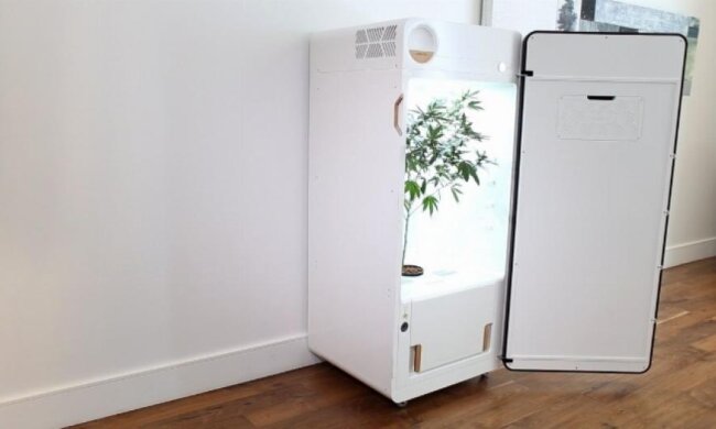 Новий винахід допоможе вирощувати марихуану дома