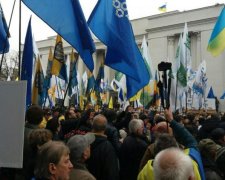 Угроза депортации заставила Саакашвили решиться на кардинальные меры