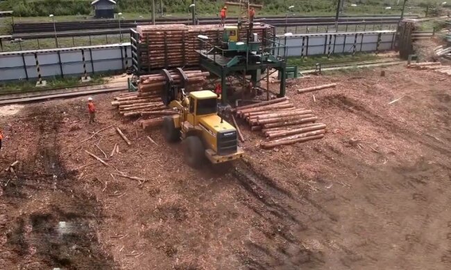 Знімаючи мораторій на експорт лісу, нардепи шкодять економіці України та нашим національним інтересам - еколог