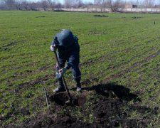 Рятувальники підрахували кількість знешкоджених боєприпасів в Балаклії