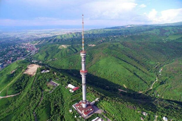 Телевежа, фото: вільне джерело