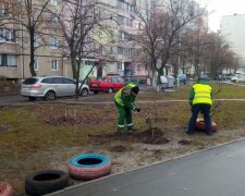 У Києві прибирають клумби з покришок, фолто: Facebook Дарницька РДА