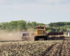 Посевная, фото: скриншот из видео