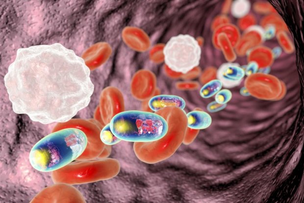 Мікрочастинки допоможуть у лікуванні небезпечних захворювань крові