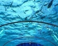 6 найкращих ресторанів світу 