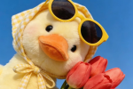 Гороскоп, изображение: Pinterest