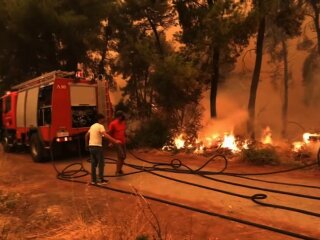 Пожары в Греции, фото: скриншот из видео