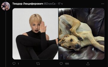 Тред з Тіною Кароль, фото: Twitter