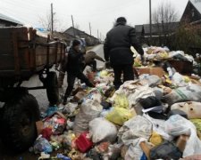 Мертвые свиньи и пластик: как украинский мусор убивает европейскую экологию