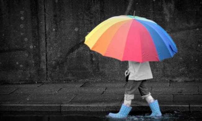 Украинцам посоветовали вооружиться зонтами