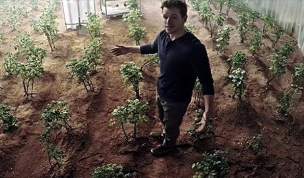 NASA хочет выращивать картофель на Марсе