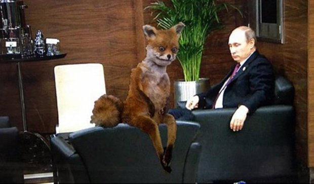 Унылый Путин и кошки на саммите в Турции подорвали интернет (фото)