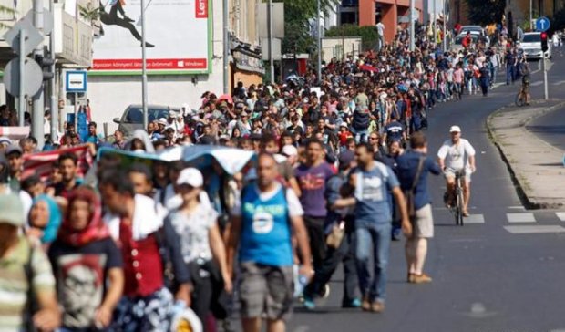 Австрийское правительство прогнозирует прибытие еще 10 тысяч мигрантов