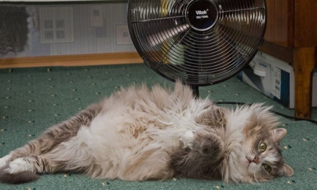 10 тисяч запоріжчан лишились без електрики через кондиціонери