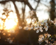 Погода на 9 мая: солнце вытесняет дожди с Украины