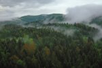 У Карпатах турист впав у кому