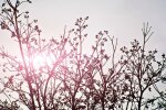 Летняя погода и неугомонные пожары - метеоролог поделилась своими прогнозами на весну в Украине