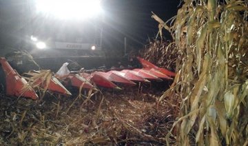 Несподівана "зустріч" у кукурудзі позбавила чоловіка ніг