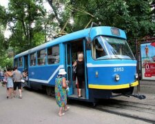 "Можна запускати": на вулиці Одеси повернеться "рогатий" улюбленець містян