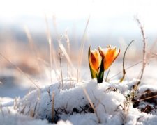 Весна принесе з собою зростання цін і віялові відключення світла