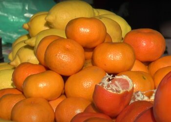 Цитрусові. Фото: скрін youtube