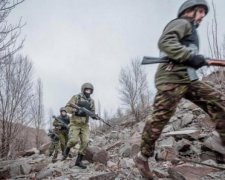 Почалося? Донецькі мавпи "отоварили" приїжджих