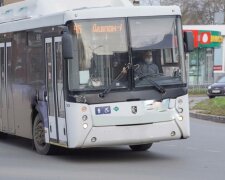 Автобус, фото: скриншот из видео