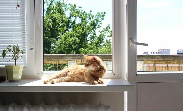 Погода на завтра: субота пройде на ура, швидше всі на останні пікніки