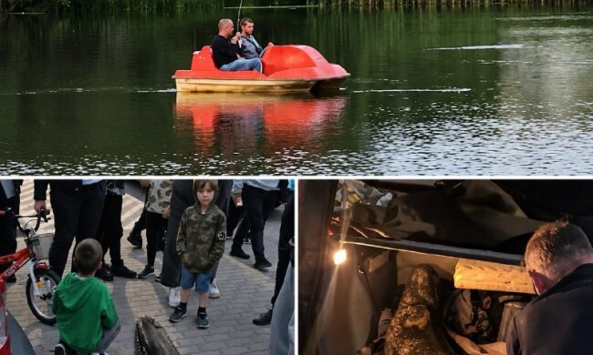 Сом з озера Балатон у Варшаві