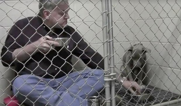 Ветеринар їв в одному вольєрі з собакою на благо порятунку (фото)
