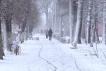 Погода на 1 січня в Україні: новий рік розпочнеться з тепла та опадів