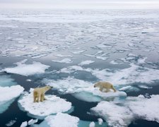 Ученые бьют тревогу: глобальное потепление необратимо изменило Арктику