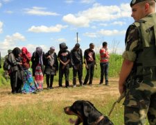 На Закарпатті затримали нелегальних мігрантів з Сирії