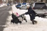 Погода в Украине, скриншот: Youtube