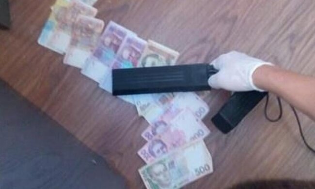 Взяточник помог уничтожать житомирские леса