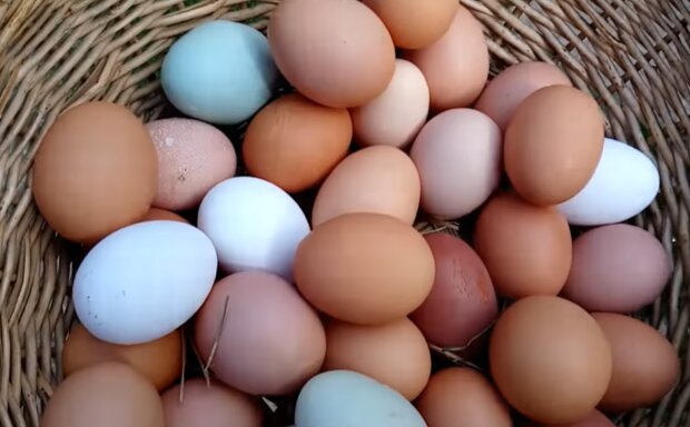 Курячі яйця, скріншот: YouTube