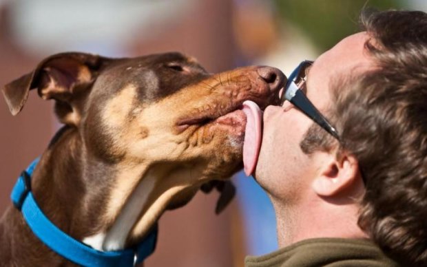 Собачий язик виявився багатофункціональним інструментом