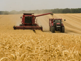 Ринок землі AgroPortal.ua