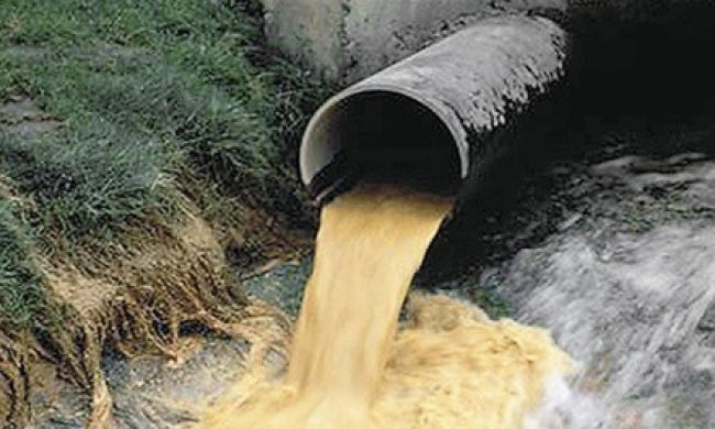 Активіст від «Самопомочі» отруїв річку на Житомирщині