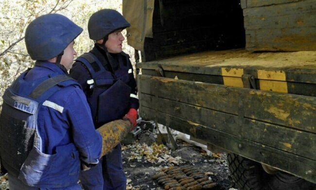 Под Харьковом в лесополосе нашли 778 боеприпасов (фото)  