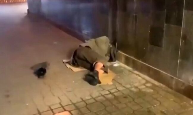 Бездомные, фото politeka