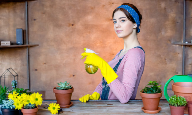 5 популярних кімнатних рослин виявилися отруйними: викликають опіки, терміново їх викинете