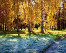 Покров Пресвятой Богородицы 2017: главные приметы в праздник