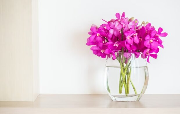Квіти у вазі. Фото Freepik