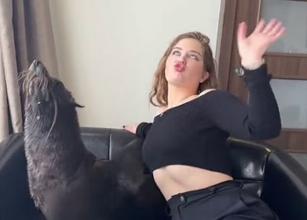 Блогери в одеському готелі з котиками, кадр з відео